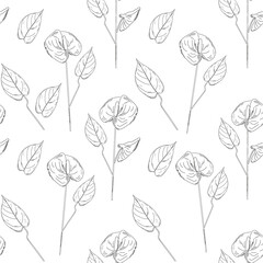 Seamless pattern with tropical flowers. Anthurium flowers and leaves. Hand drawn vector background. black and white outline illustration. Fashionable exotic background. (Araceae).