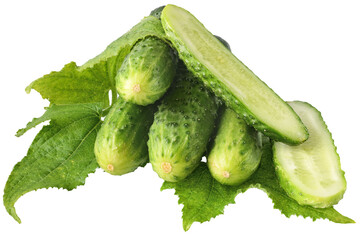 Fresh heap cut cucumber isolated