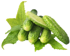 Fresh heap cut cucumber isolated