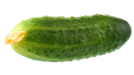 Fresh cucumber isolated