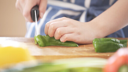 野菜を切る若い女性