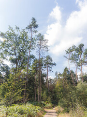 An industrial building in Zelhem, The Netherlands