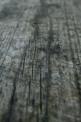 old wood texture in the field