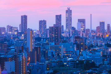 光が綺麗な東京の夕景