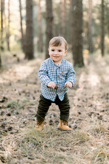 Little happy child boy wearing stylish checkered shirt, pants and shoes, stands in park or autumn pine forest on background of pine autumn trees, looking at camera with cone in hands