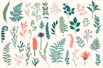 Wildflower decorative elements set. Isolated pack of botanical clipart for Xmas prints. Color branches, flowers and herbs vector illustration. Perfect for Christmas greeting cards and patterns.