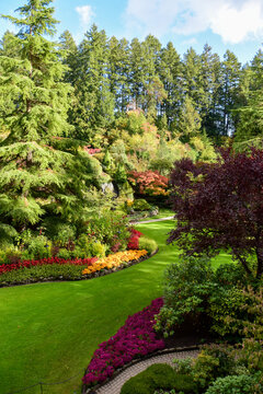 A picture of a well-tended garden.    Victoria BC Canada 
