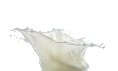 Naklejka na ściany i meble Milk drops and splashes white background