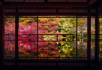 Naklejka premium 紅葉の京都 瑠璃光院