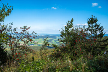 Fototapeta na wymiar Hoher Bogen | Hohenbogen | Höhenzug im Bayerischen Wald | Oberpfalz