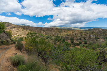 Fototapeta na wymiar Mountainous landscape with vegetation in southern Spain