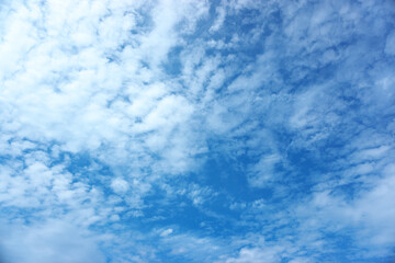 Obraz premium 青空と雲