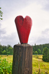 Liebesbankweg in the Harz Mountains in Hahnenklee