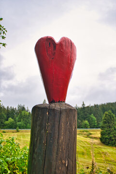 Liebesbankweg in the Harz Mountains in Hahnenklee