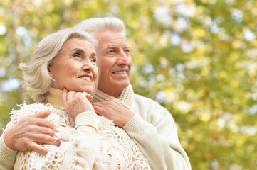 Smiling senior couple posing in the park