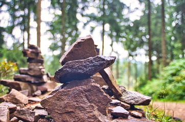 Liebesbankweg in the Harz Mountains in Hahnenklee