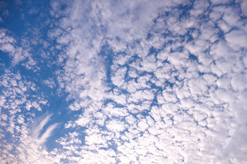 Fototapeta premium 青空と雲