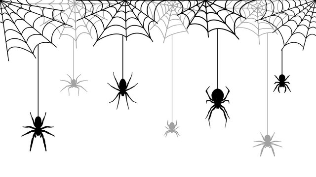 Spooky Halloween background with spider web. Creepy vector illustration with hanging spiders.
