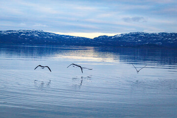 lake in the mountains in winter