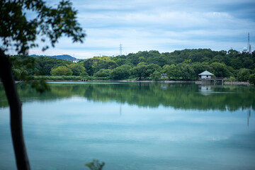 lake and forest