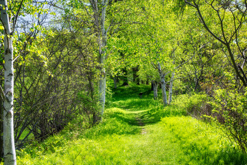 walking path nature preserve
