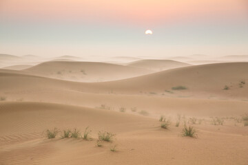sunrise in a misty desert