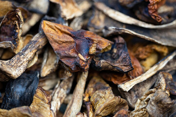 Close up of dried mushrooms. Macro shot. Selective focus.