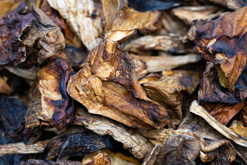 Close up of dried mushrooms. Macro shot. Selective focus.