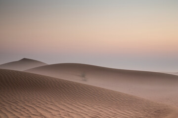 Fototapeta na wymiar offroad track in a desert near Dubai
