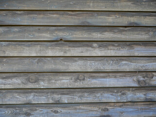 Obraz premium Textured, weathered pine wood boards on small building's side wall close up shot for background.