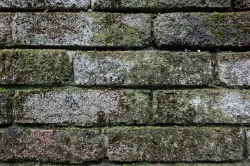 rough stone brick wall with lichen and moss