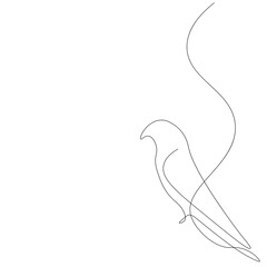 Parrot line drawing on white background, vector illustration