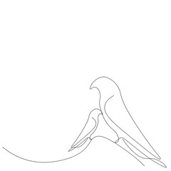 Parrots line drawing on white background, vector illustration