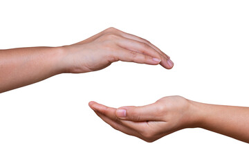 Woman hands show holding something on the palm isolated on white background. Clipping path included