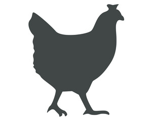 Chicken silhouette side view. Illustration of a hen isolated.