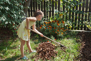 Gardening autumn works. Little girl rakes dry leaves in a bucket in the garden