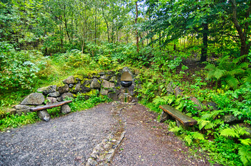 Liebesbankweg in the Harz Mountains in Hahnenklee