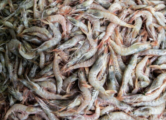 dried fish on the market, fish for shrimp in the basket