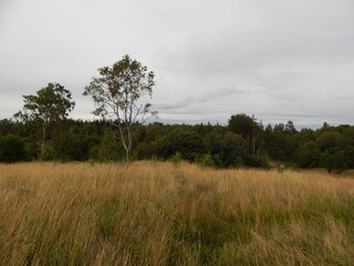 Obraz premium A field on a hill and a panoramic view of the surroundings, a beautiful summer landscape