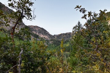 Timpanogos hiking trail landscape views in Uinta Wasatch Cache National Forest, around Utah Lake, in the Rocky Mountains in fall. Views of Midway, Heber, Provo city, Salt Lake and Utah County. USA.