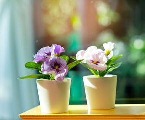 Beautiful flowers in vase on natural bokeh background