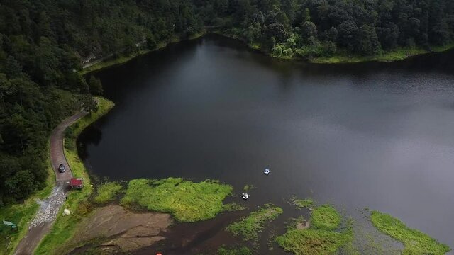 Lago grande en medio de un bosque rodeado de arboles verdes con una carretera a un costado donde pasan carros