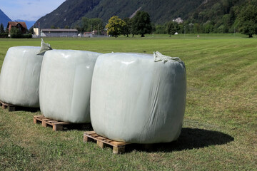Bales of straw in plastic film to keep it dry