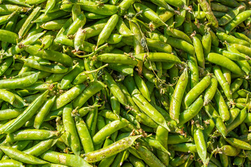 buying peas at the market to cook lunch
