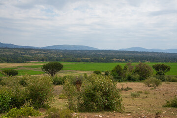 African Farmland and landscapes from Kenya