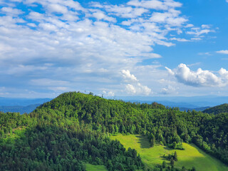 Fototapeta na wymiar AERIAL: Flying over the dense woods covering the vast Logarska Dolina, Slovenia.