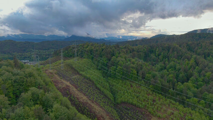 Fototapety na wymiar - Fototapeta24.pl