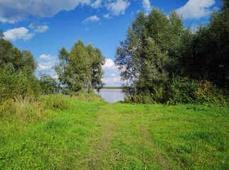 green glade near the trees near the coastline on a sunny day against the background of a blue sky with clouds