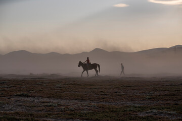 Fototapeta na wymiar Herd of cattle and buffalo walking on dusty roads. green background and mountain
