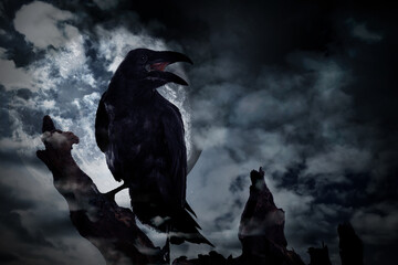 Creepy black crow croaking on old tree at night